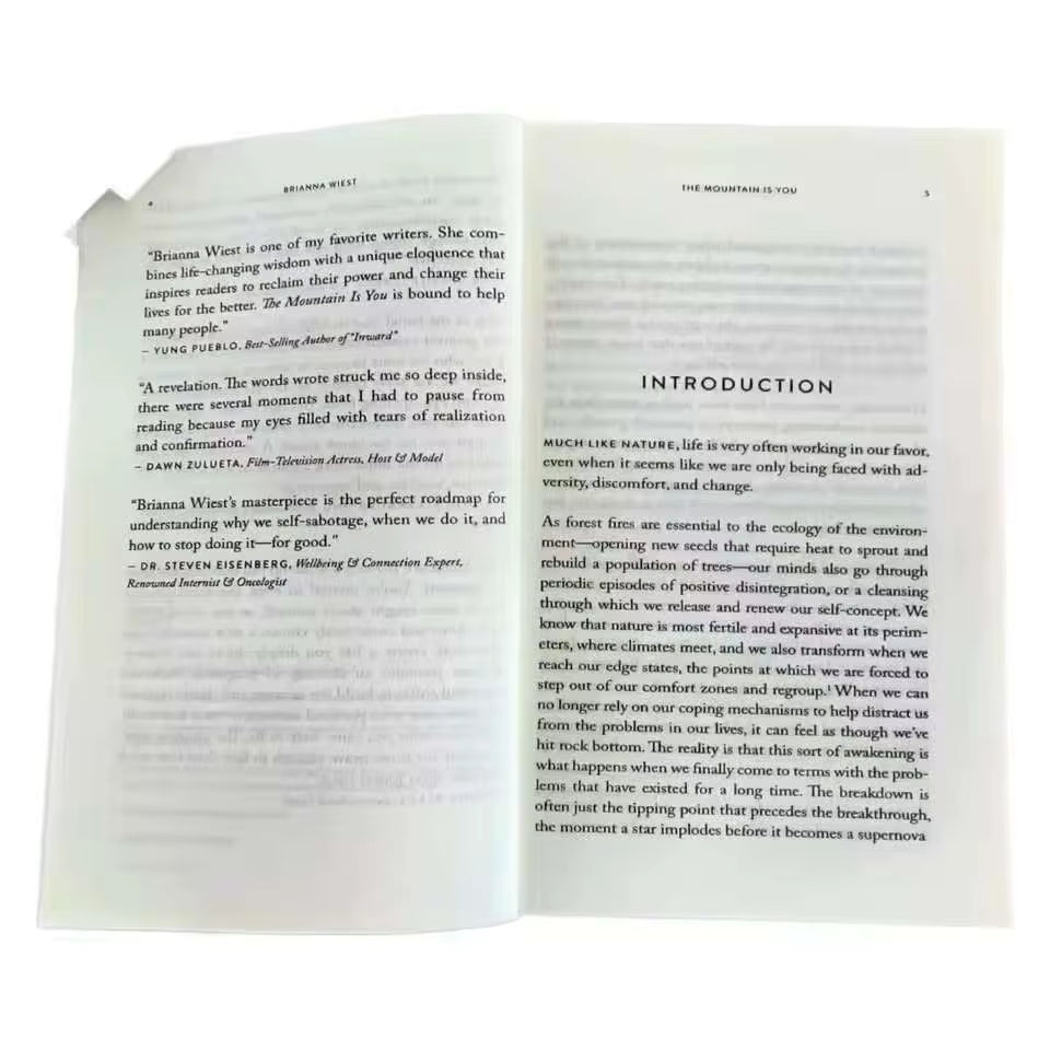 The Mountain Is You: Transforming Self-Sabotage into Self-Mastery English Books