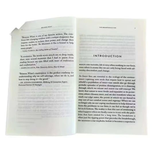 The Mountain Is You: Transforming Self-Sabotage into Self-Mastery English Books