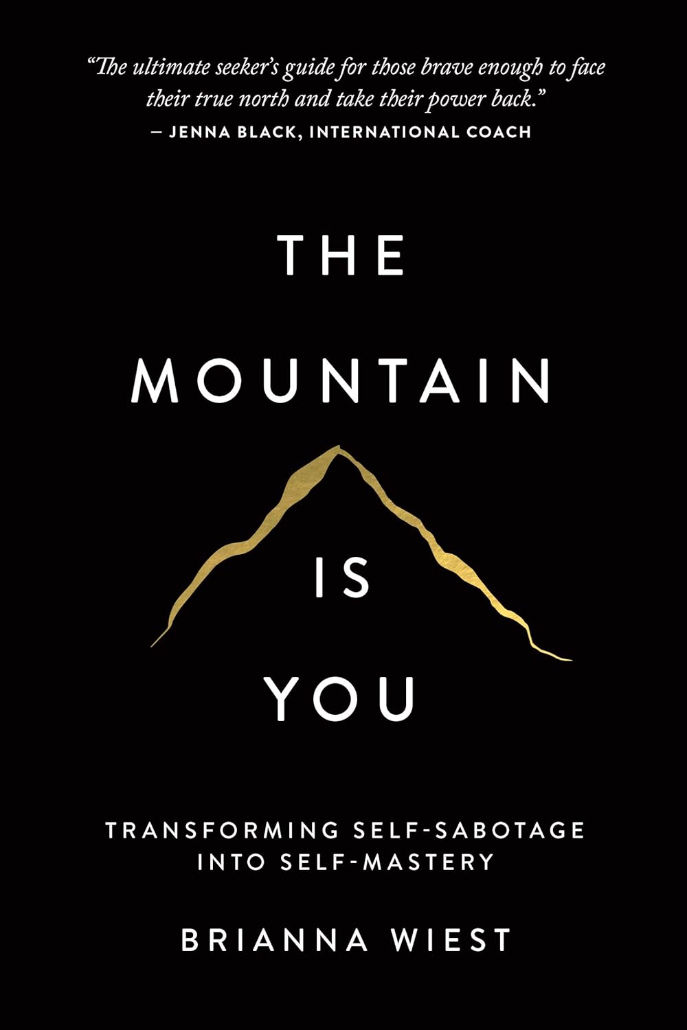 August Book of the Month - The Mountain Is You: Transforming Self-Sabotage into Self-Mastery English Books