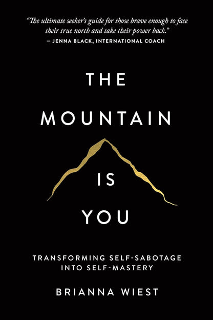August Book of the Month - The Mountain Is You: Transforming Self-Sabotage into Self-Mastery English Books