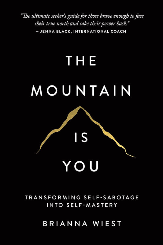 August Book of the Month - The Mountain Is You: Transforming Self-Sabotage into Self-Mastery English Books